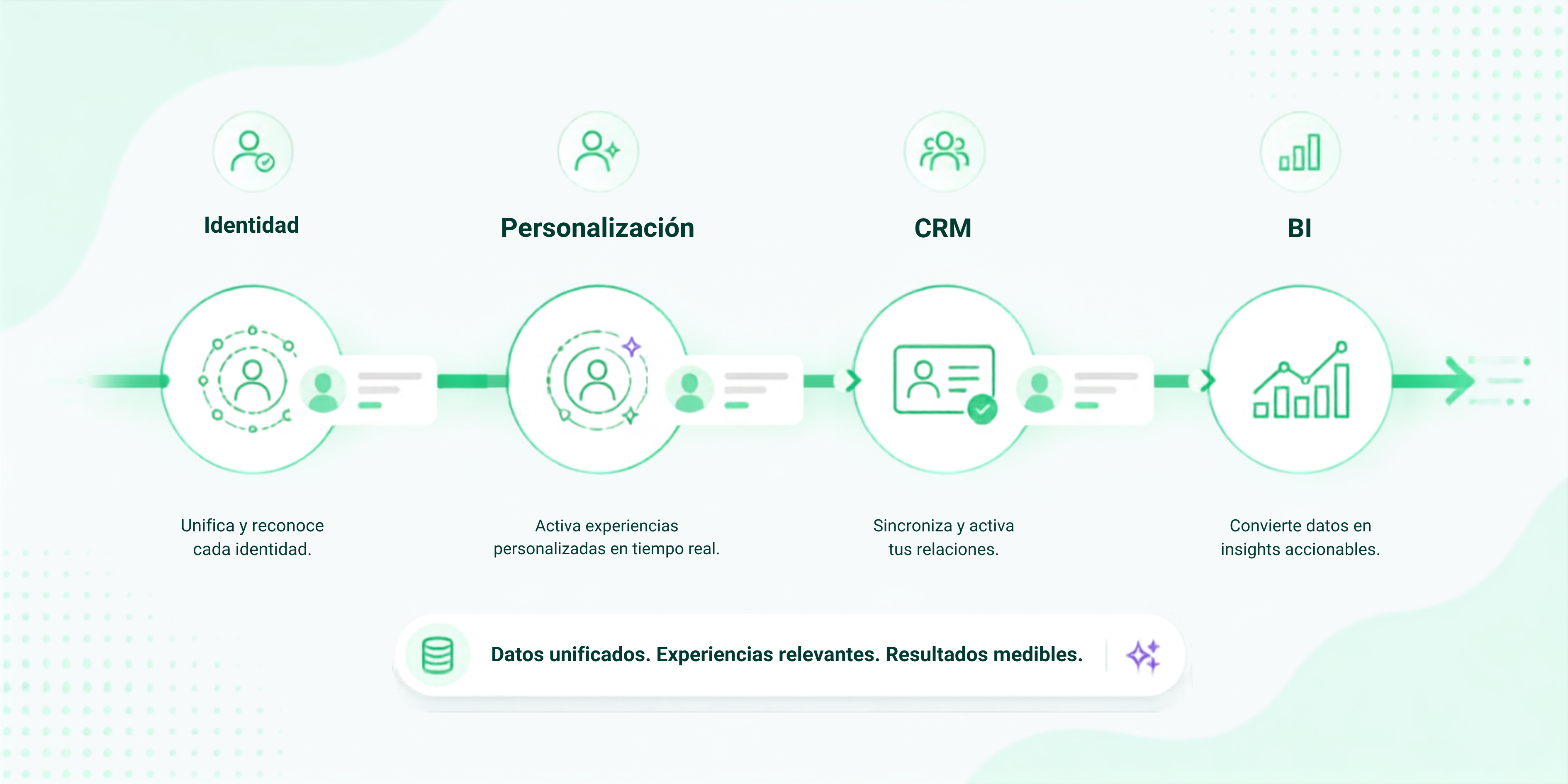 Un perfil. Cuatro productos. Una plataforma.